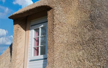 Raglan thatch roof disadvantages