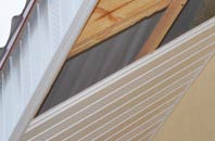 rated Raglan soffit repair companies